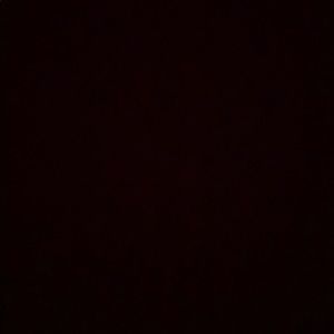 Meet your Posher, Riley